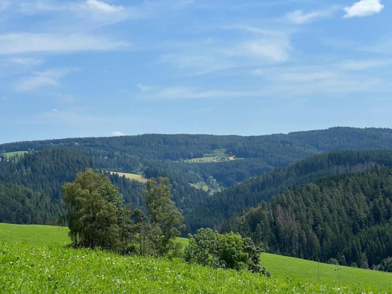 トリベルクLandhaus Valentinアパートメント エクステリア 写真