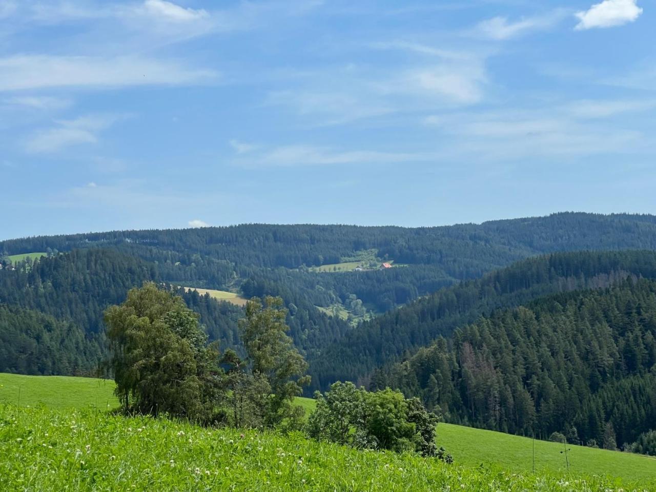 Landhaus Valentin トリベルク エクステリア 写真